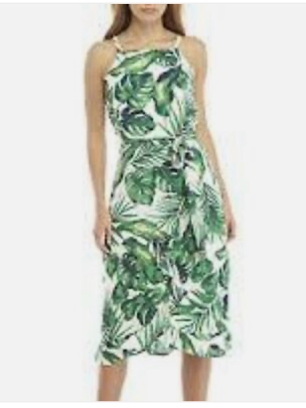 Roz & Ali Green Tropical Leaf Midi Dress, XS